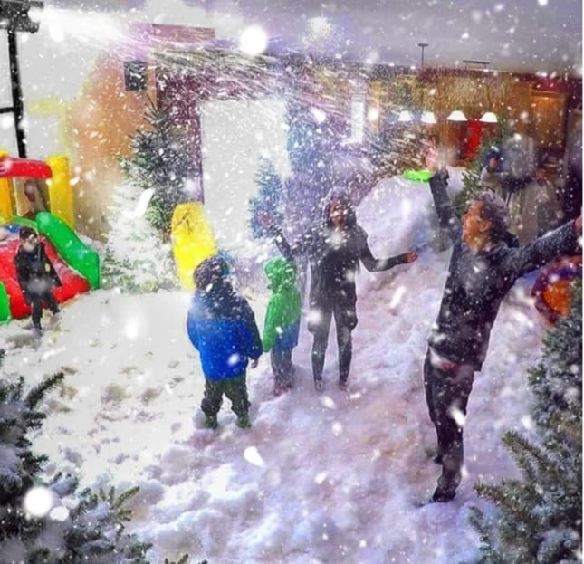 1200W Artificial Snow Machine with Remote